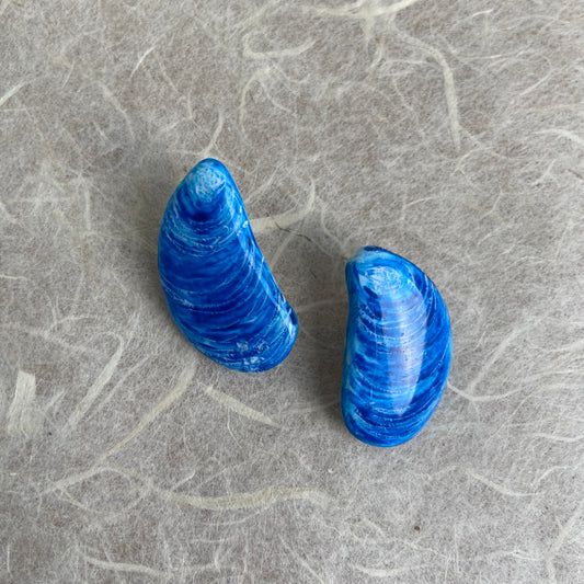 Mussel Shell Earrings