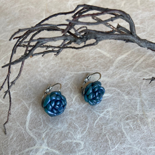 Blue Grey Succulents Echeveria Earrings