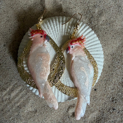 Cockatoo Earrings